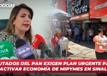 Diputados del PAN exigen plan urgente para reactivar economía de Mipymes en Sinaloa