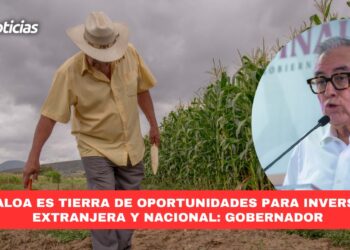 Sinaloa es tierra de oportunidades para inversión extranjera y nacional: Gobernador
