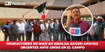 Productores de maíz en Sinaloa exigen apoyos urgentes ante crisis en el campo