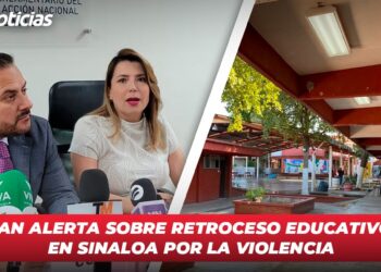 Productores de maíz en Sinaloa exigen apoyos urgentes ante crisis en el campo