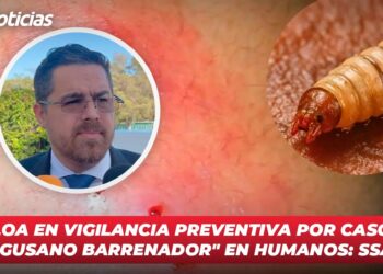 Urge atender emergencia ecológica por lirio acuático en Culiacán: PAN