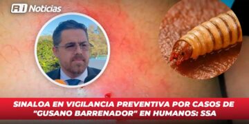 Urge atender emergencia ecológica por lirio acuático en Culiacán: PAN