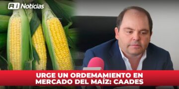 Urge un ordenamiento en mercado del maíz: CAADES