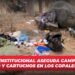 Grupo Interinstitucional asegura campamento con armamento y cartuchos en Los Copales, Mazatlán