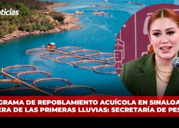 Programa de repoblamiento acuícola en Sinaloa en espera de las primeras lluvias: Secretaría de Pesca