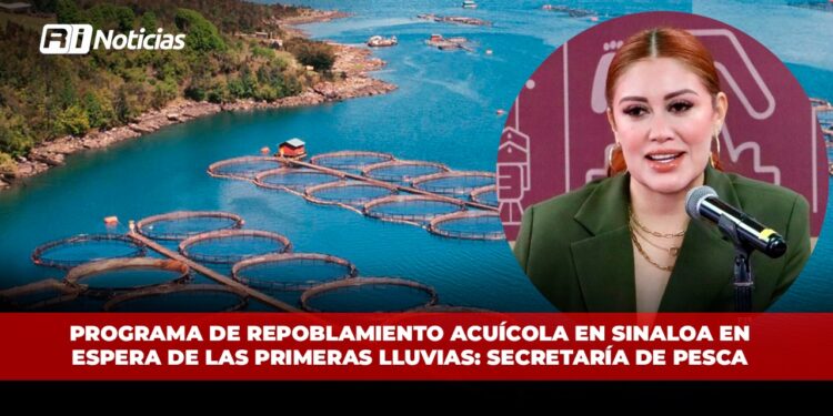 Programa de repoblamiento acuícola en Sinaloa en espera de las primeras lluvias: Secretaría de Pesca