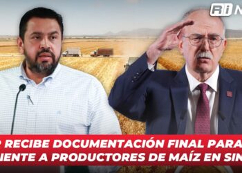 SADER recibe documentación final para pago pendiente a productores de maíz en Sinaloa