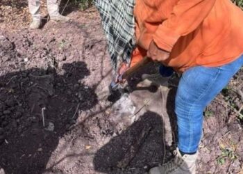 Colectivo de búsqueda encuentra osamenta cerca de campos deportivos, al norte de Mazatlán