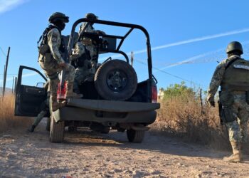 Localizan a hombre asesinado y con huellas de tortura en Badiraguato