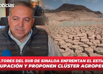 Agricultores del sur de Sinaloa enfrentan el estiaje con preocupación y proponen clúster agropecuario