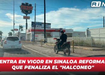 Entra en vigor en Sinaloa Reforma que penaliza el “Halconeo”