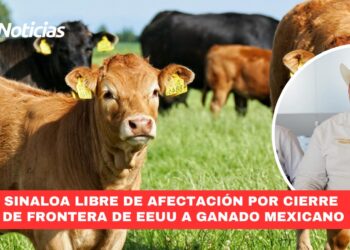 Sinaloa libre de afectación por cierre de frontera de EEUU a ganado mexicano