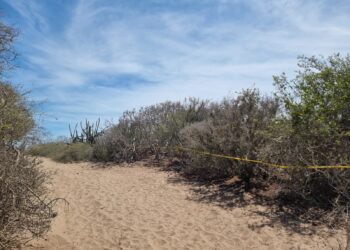 Localizan dos osamentas en playa de Eldorado, Sinaloa