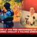 Urge alzar la voz por inseguridad en Sinaloa: Maribel Chollet a Paloma Sánchez