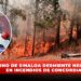 Gobierno de Sinaloa desmiente negligencia en incendios de Concordia