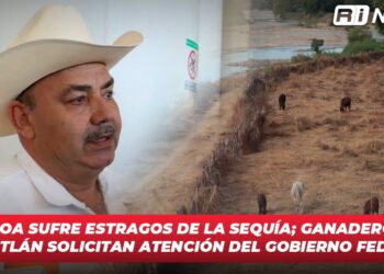 Sinaloa sufre estragos de la sequía; Ganaderos de Mazatlán solicitan atención del gobierno federal