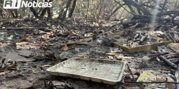 Ropa y unicel, los desperdicios que predominan en el Mangle del Infiernillo