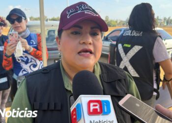 Realizan jornada de limpieza en manglares de Mazatlán; el 4 de junio habrá una actividad masiva