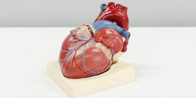 El 60 % de los mexicanos tiene riesgo de desarrollar enfermedades cardiovasculares