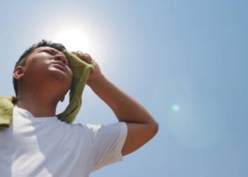 Altas temperaturas de hasta 44 grados afectan a diversos estados del país