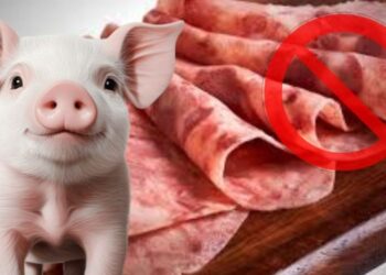 Estas son las marcas de queso de puerco que les mienten a los consumidores, según Profeco