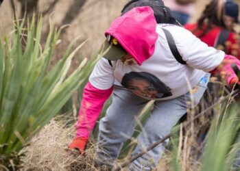 Ajustan reformas contra el delito de desaparición con la opinión de colectivos de madres y padres buscadores