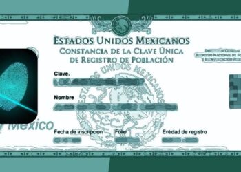 ¿Qué pasa si no tramito el CURP biométrico?