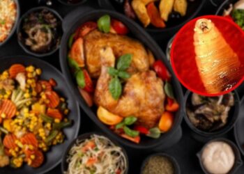 ¿Mi alimento puede transmitir o estar infectado de gusano barrenador?