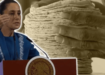 Sheinbaum firmará acuerdo con harineras y tortillerías para que no suba el precio