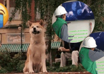 Técnico de Internet se hace viral por ponerse a llorar viendo Hachiko mientras trabaja en una casa