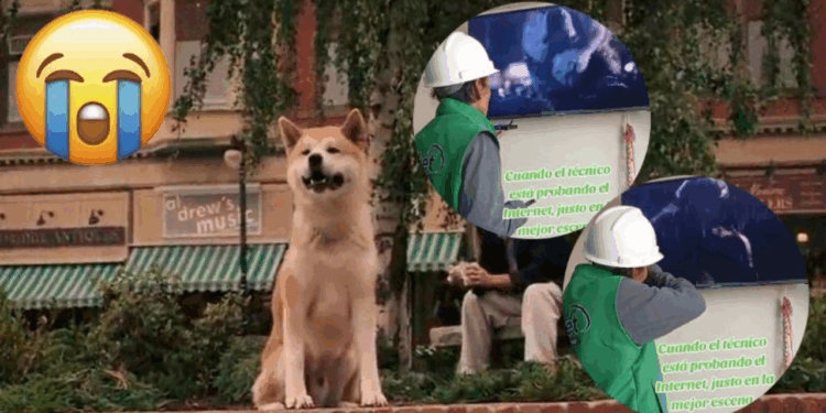 Técnico de Internet se hace viral por ponerse a llorar viendo Hachiko mientras trabaja en una casa