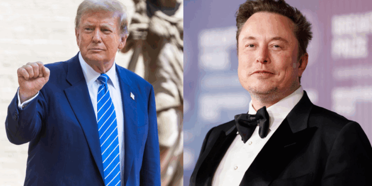 Trump agradece disculpas de Musk y frena represalias contra sus empresas