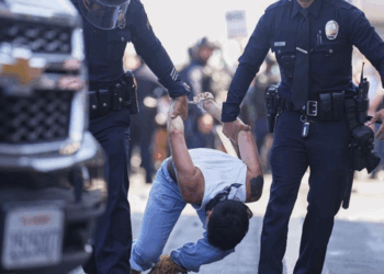 Hay 42 mexicanos detenidos tras redadas en Los Ángeles, California: De la Fuente