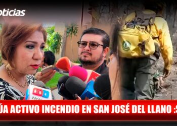 Sinaloa podría contar con una Vicefiscalía para la Protección de Periodistas: Tere Guerra