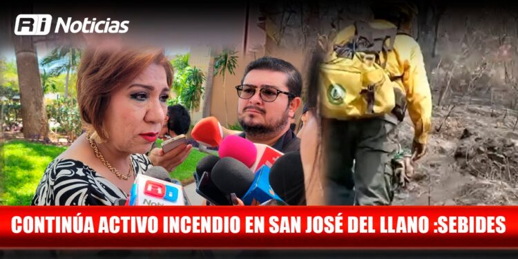 Sinaloa podría contar con una Vicefiscalía para la Protección de Periodistas: Tere Guerra