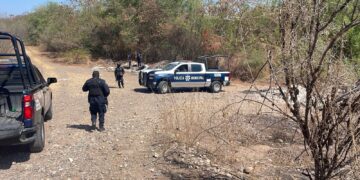 Encuentran a dos jóvenes sin vida en la Isla Musalá, en Culiacán