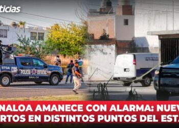 Sinaloa amanece con alarma: Nueve muertos en distintos puntos del Estado