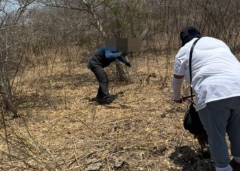 Localizan dos fosas clandestinas en Lomas de Monterrey, en Mazatlán