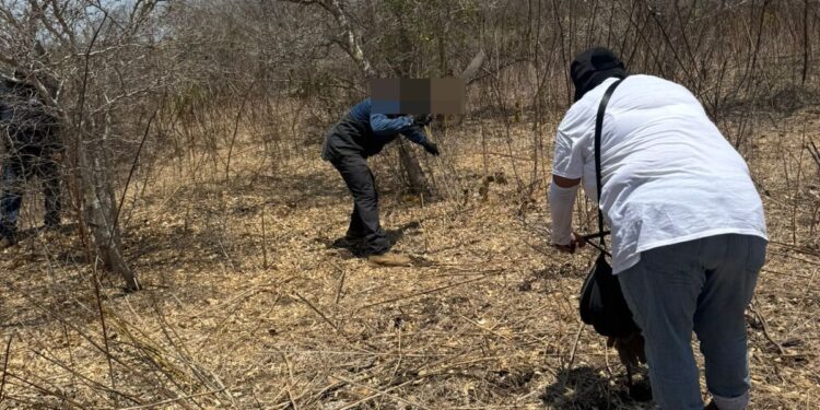 Localizan dos fosas clandestinas en Lomas de Monterrey, en Mazatlán