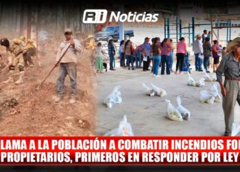 SEBIDES llama a la población a combatir incendios forestales; propietarios, primeros en responder por ley