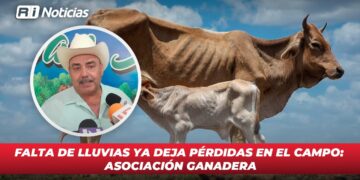 Falta de lluvias ya deja pérdidas en el campo: Asociación Ganadera
