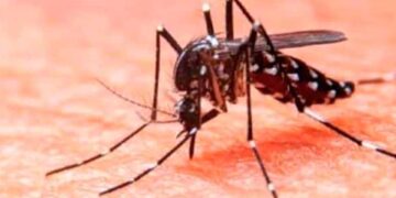 Salud presenta Plan Nacional contra Dengue; van 18 muertes en lo que va de 2025