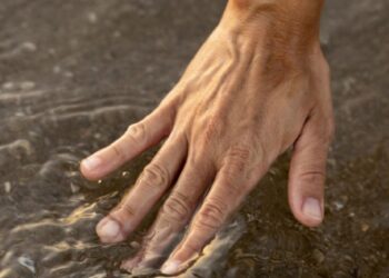 El mundo al borde de la sequía: un análisis profundo sobre la escasez de agua