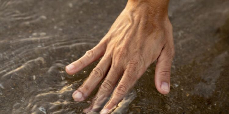 El mundo al borde de la sequía: un análisis profundo sobre la escasez de agua