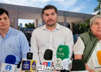 Borrador automático